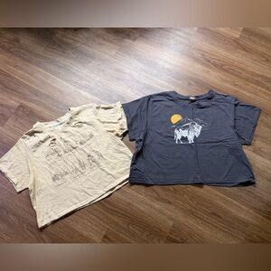 Women’s crop T-Shirts - Beige and Gray